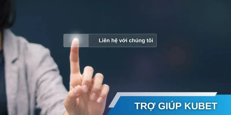 Trang Liên Hệ: Phân Tích và Hỗ Trợ Khách Hàng