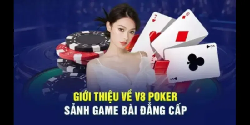 Điều Khoản Sử Dụng