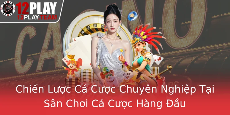 Chiến Lược Cá Cược Chuyên Nghiệp Tại Sân Chơi Cá Cược Hàng Đầu