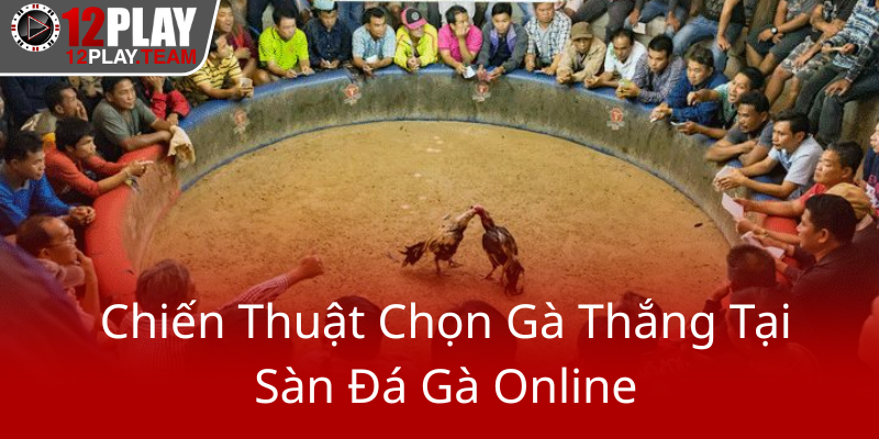 Chien Thuat Chon Ga Thang Tai San Da Ga Online0