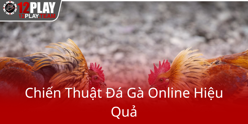 Khám Phá Đá Gà Trực Tiếp C1 C2 C3 C4 - Trải Nghiệm Đam Mê Tại Nền Tảng 12Play Thú Vị 3 Chien Thuat Da Ga Online Hieu Qua0