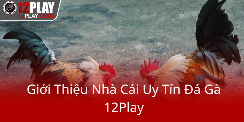 Gioi Thieu Nha Cai Uy Tin Da Ga 12Play0