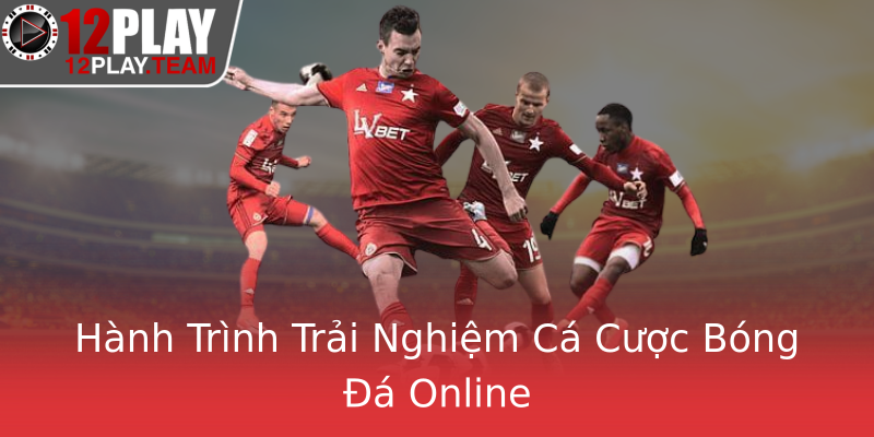 Hành Trình Trải Nghiệm Cá Cược Bóng Đá Online