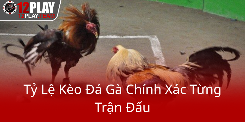 Khám Phá Đá Gà Trực Tiếp C1 C2 C3 C4 - Trải Nghiệm Đam Mê Tại Nền Tảng 12Play Thú Vị 2 Ty Le Keo Da Ga Chinh Xac Tung Tran Dau0